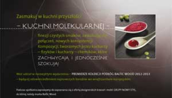 Świat Przyszłości &#8211; Akademia Inspiracji Baltic Wood